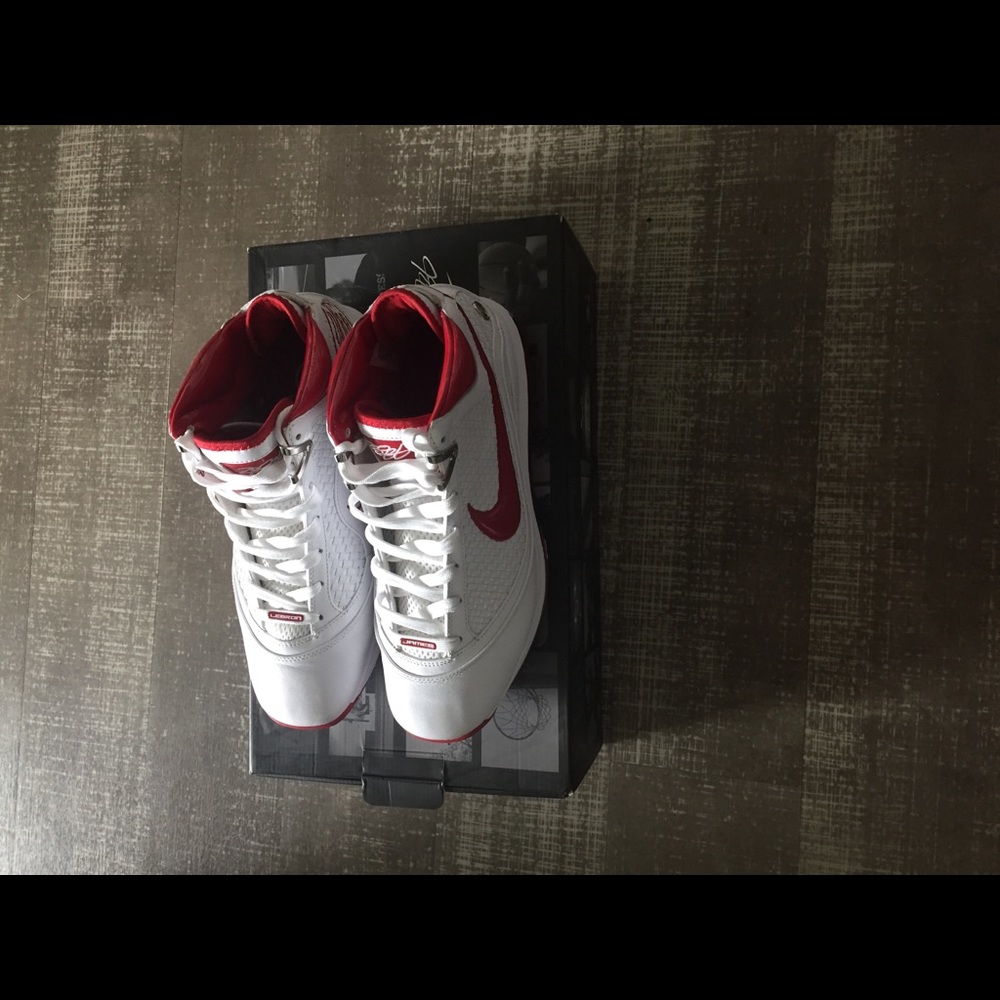 Lebron - Picture 2 of 5